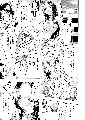 04_thumb.png
