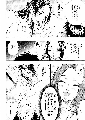 07_thumb.png