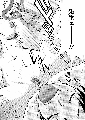 17_thumb.png